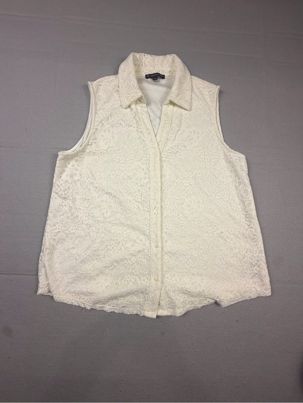 Adrianna Papell Ivory Lace Sleeveless Button-Up Blouse